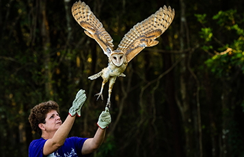 Owl’s Nest Sanctuary for Wildlife