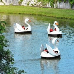 Swan Lake Paddleboats